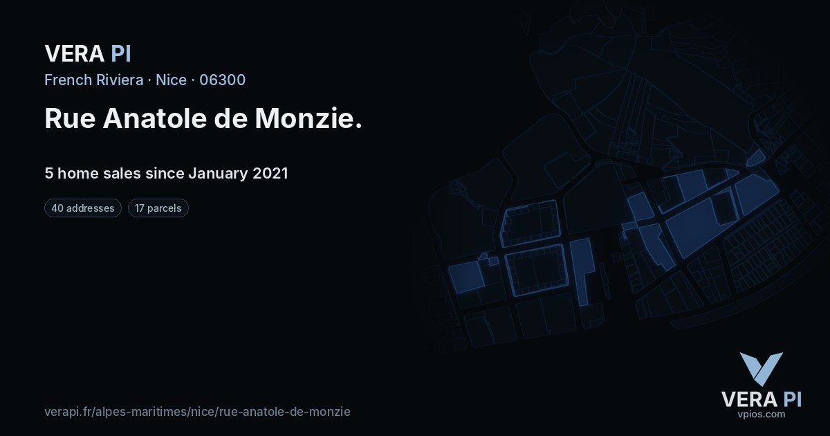 Rue Anatole de Monzie, Nice at night – every parcel coloured by the prices around it, the street's own parcels lit