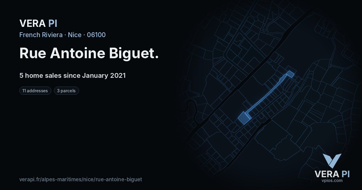 Rue Antoine Biguet, Nice at night – every parcel coloured by the prices around it, the street's own parcels lit