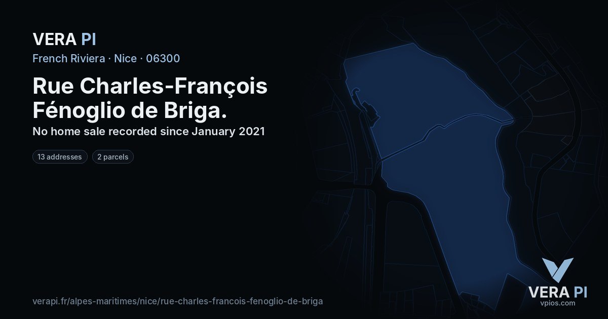 Rue Charles-François Fénoglio de Briga, Nice at night – every parcel coloured by the prices around it, the street's own parcels lit