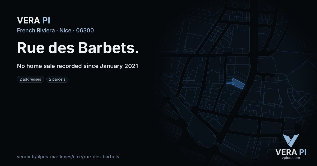 Rue des Barbets, Nice at night – every parcel coloured by the prices around it, the street's own parcels lit