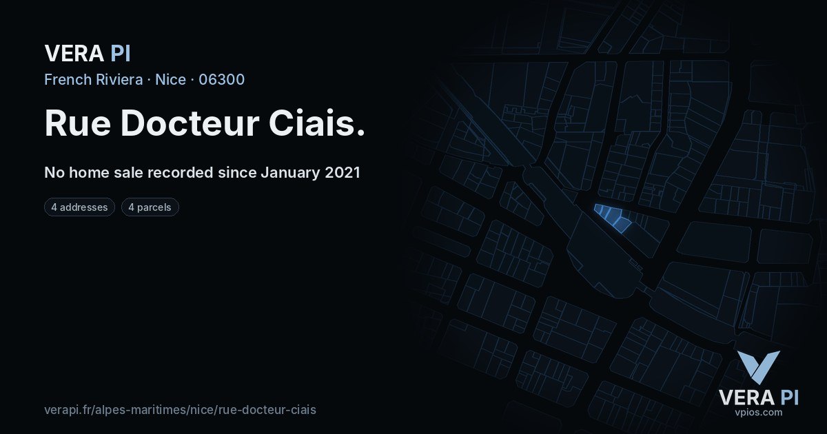 Rue Docteur Ciais, Nice at night – every parcel coloured by the prices around it, the street's own parcels lit