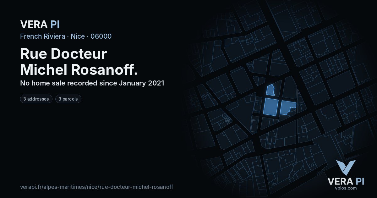 Rue Docteur Michel Rosanoff, Nice at night – every parcel coloured by the prices around it, the street's own parcels lit