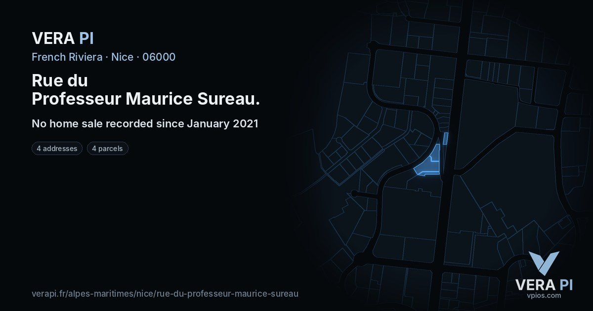 Rue du Professeur Maurice Sureau, Nice at night – every parcel coloured by the prices around it, the street's own parcels lit
