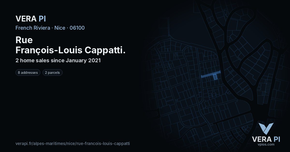 Rue François-Louis Cappatti, Nice at night – every parcel coloured by the prices around it, the street's own parcels lit