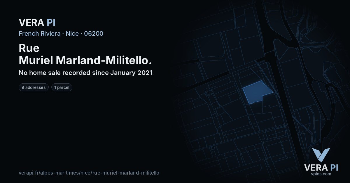 Rue Muriel Marland-Militello, Nice at night – every parcel coloured by the prices around it, the street's own parcels lit