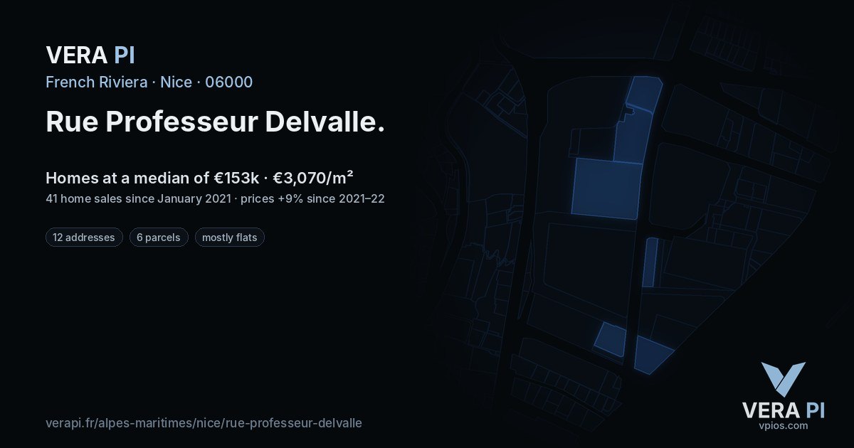 Rue Professeur Delvalle, Nice at night – every parcel coloured by the prices around it, the street's own parcels lit