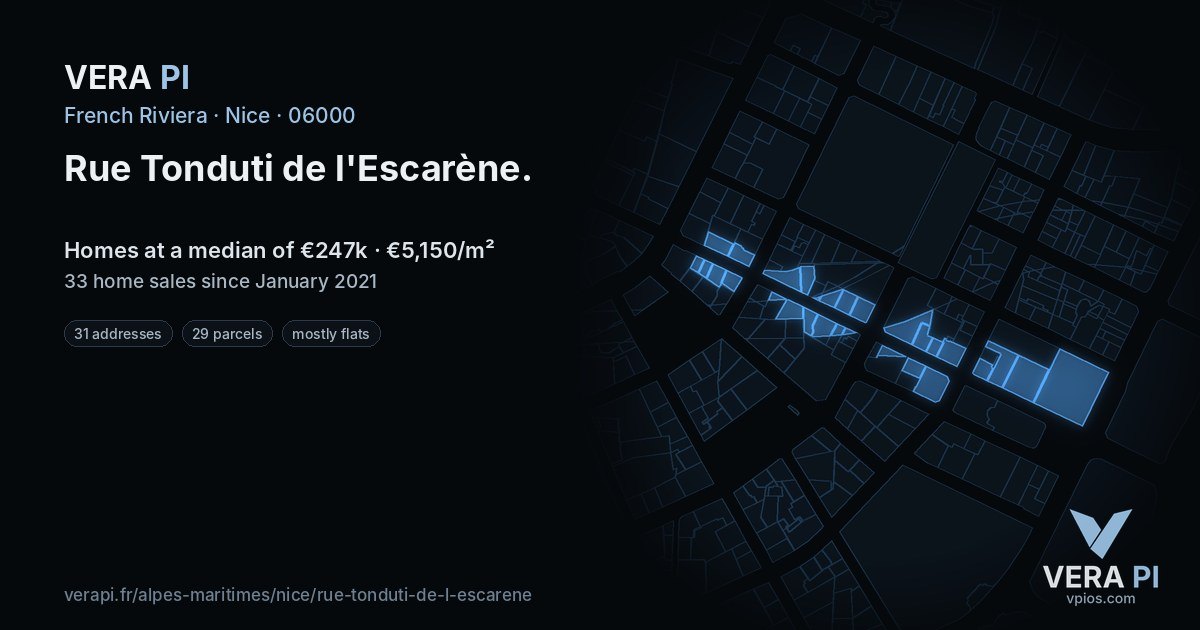 Rue Tonduti de l'Escarène, Nice at night – every parcel coloured by the prices around it, the street's own parcels lit