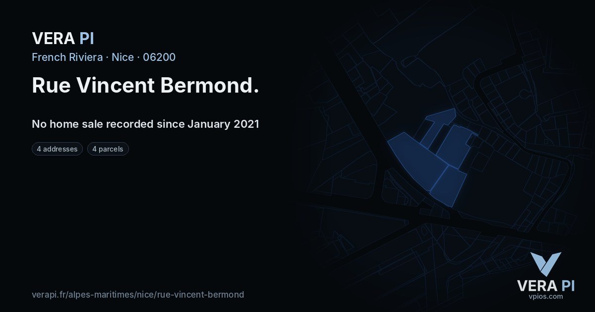 Rue Vincent Bermond, Nice at night – every parcel coloured by the prices around it, the street's own parcels lit