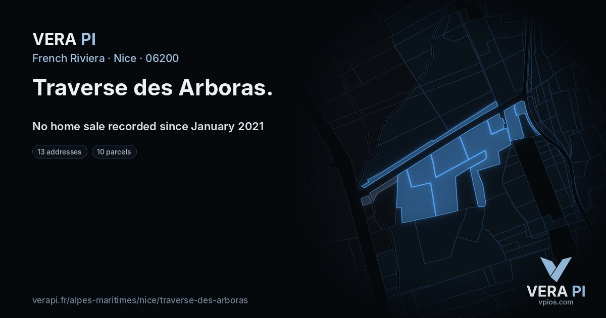 Traverse des Arboras, Nice at night – every parcel coloured by the prices around it, the street's own parcels lit