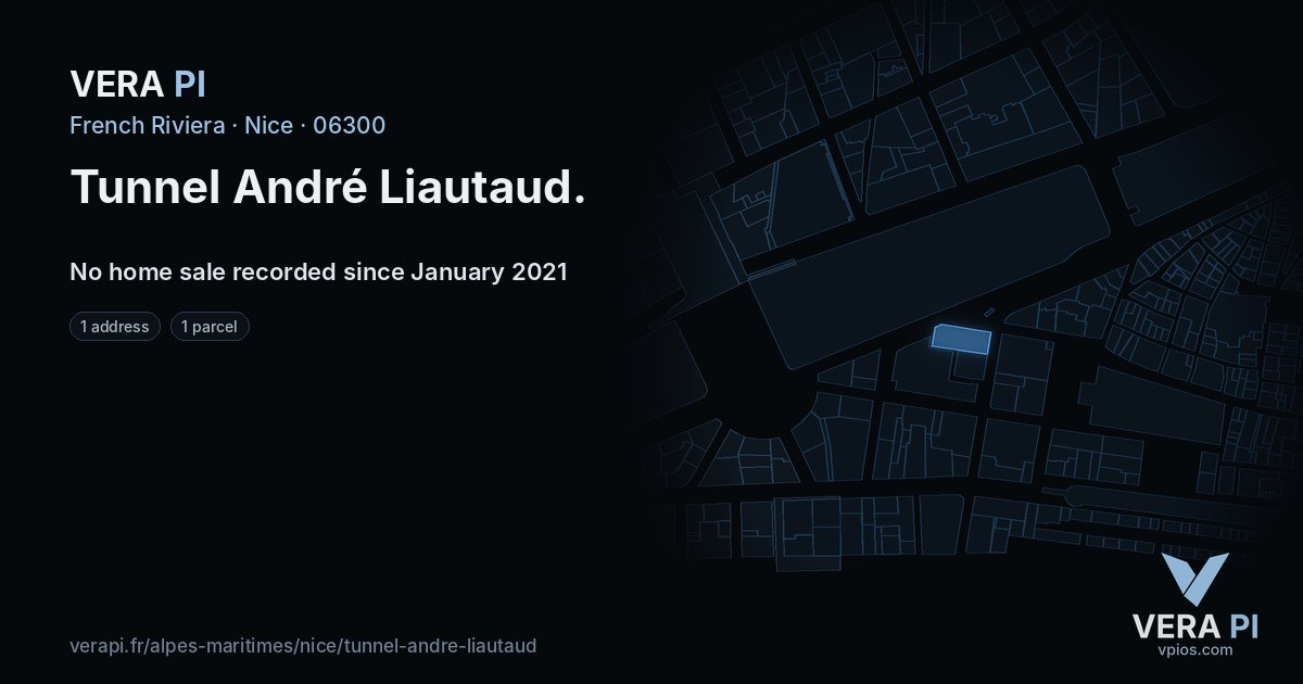 Tunnel André Liautaud, Nice at night – every parcel coloured by the prices around it, the street's own parcels lit