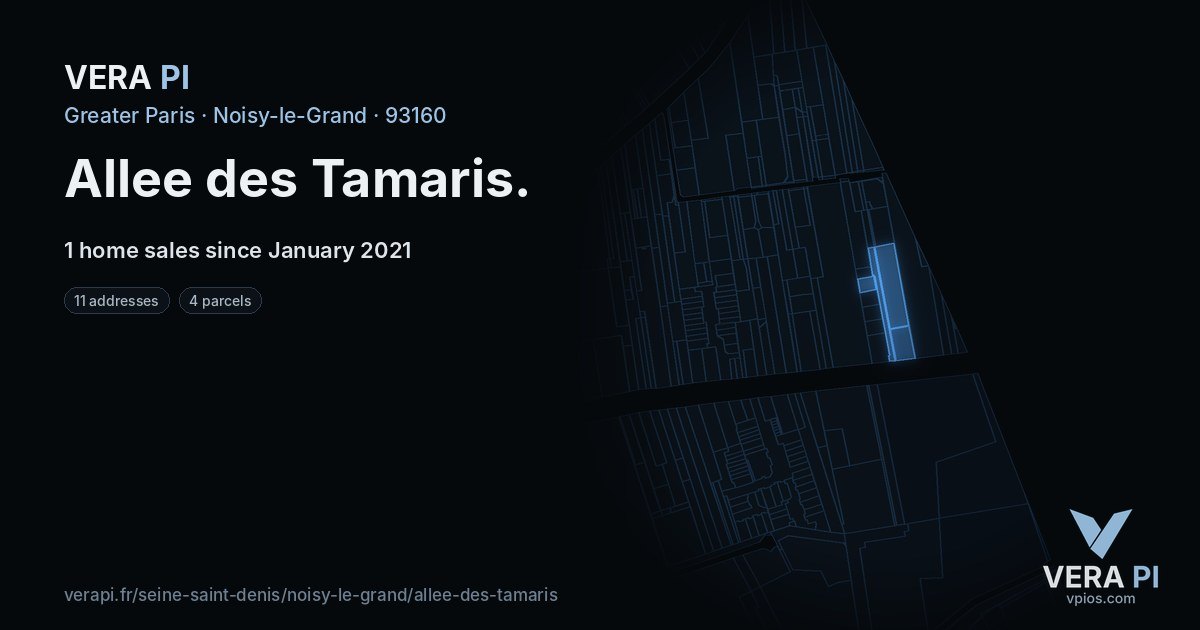 Allee des Tamaris, Noisy-le-Grand at night – every parcel coloured by the prices around it, the street's own parcels lit