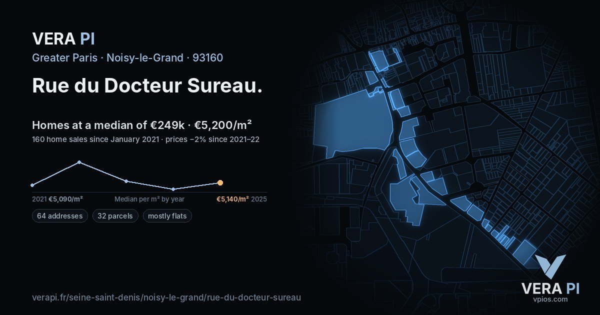 Rue du Docteur Sureau, Noisy-le-Grand at night – every parcel coloured by the prices around it, the street's own parcels lit