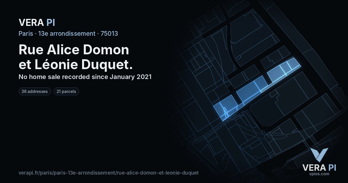 Rue Alice Domon et Léonie Duquet, 13e arrondissement at night – every parcel coloured by the prices around it, the street's own parcels lit