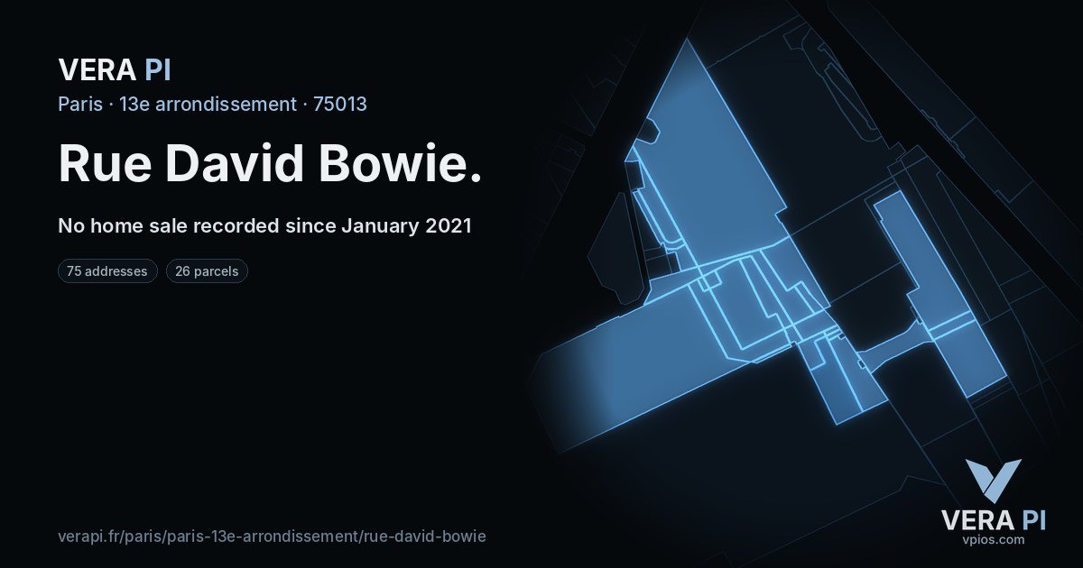Rue David Bowie, 13e arrondissement at night – every parcel coloured by the prices around it, the street's own parcels lit
