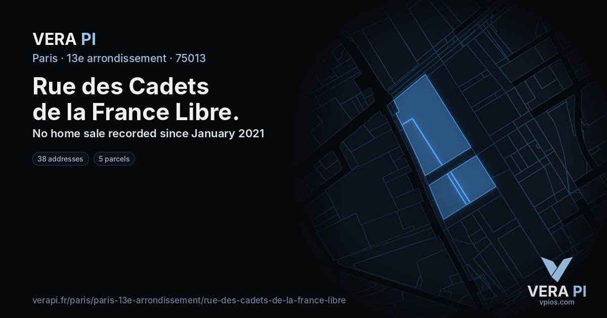 Rue des Cadets de la France Libre, 13e arrondissement at night – every parcel coloured by the prices around it, the street's own parcels lit