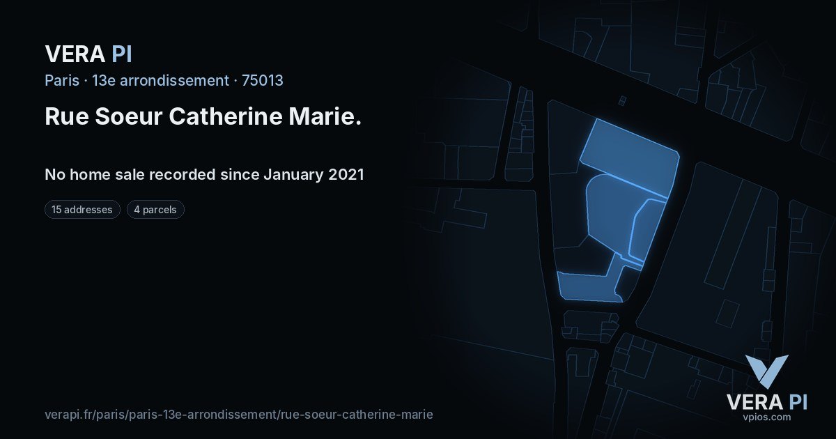 Rue Soeur Catherine Marie, 13e arrondissement at night – every parcel coloured by the prices around it, the street's own parcels lit