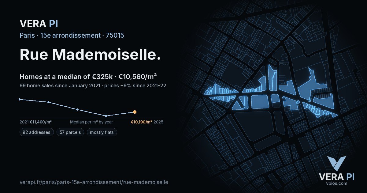 Rue Mademoiselle, 15e arrondissement at night – every parcel coloured by the prices around it, the street's own parcels lit