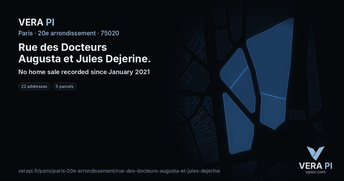 Rue des Docteurs Augusta et Jules Dejerine, 20e arrondissement at night – every parcel coloured by the prices around it, the street's own parcels lit