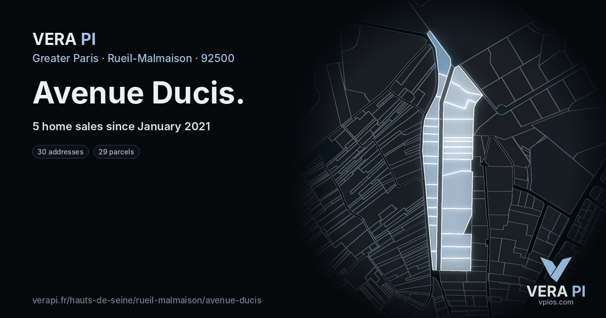 Avenue Ducis, Rueil-Malmaison at night – every parcel coloured by the prices around it, the street's own parcels lit
