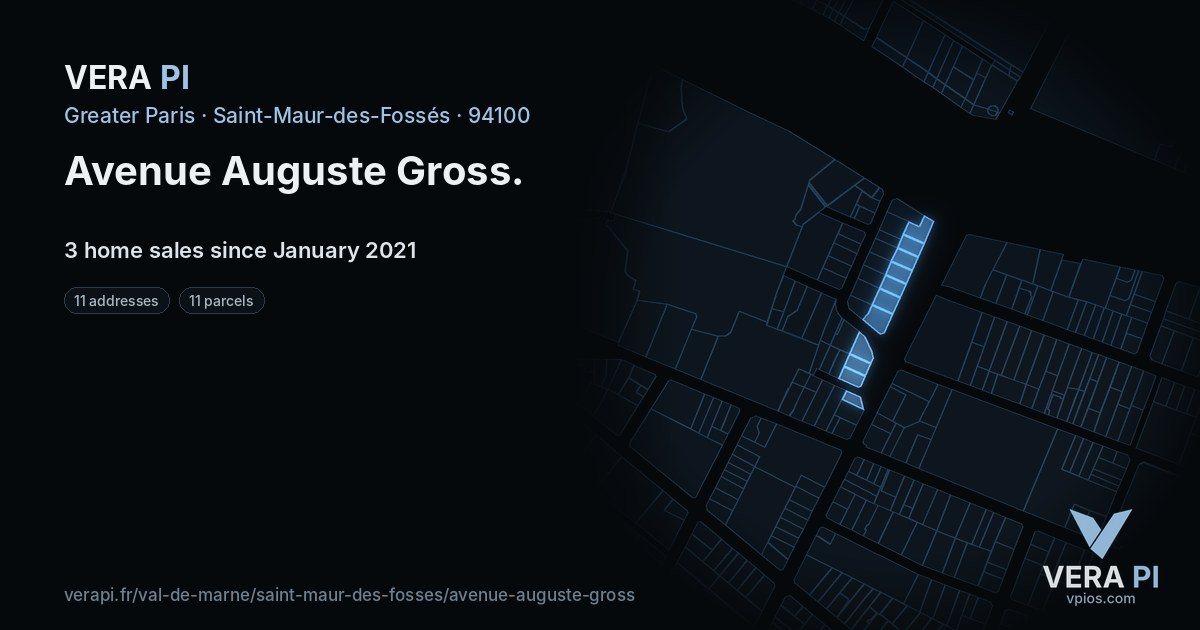 Avenue Auguste Gross, Saint-Maur-des-Fossés at night – every parcel coloured by the prices around it, the street's own parcels lit