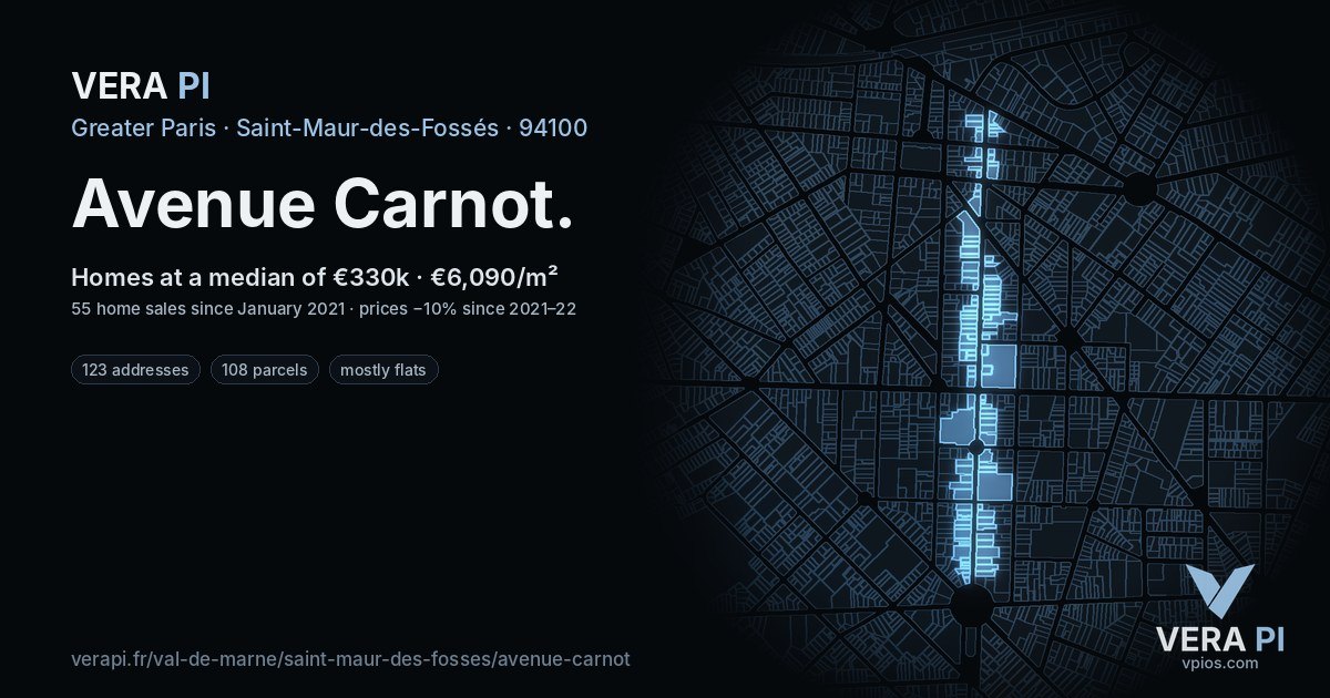 Avenue Carnot, Saint-Maur-des-Fossés at night – every parcel coloured by the prices around it, the street's own parcels lit