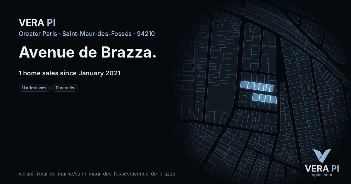 Avenue de Brazza, Saint-Maur-des-Fossés at night – every parcel coloured by the prices around it, the street's own parcels lit