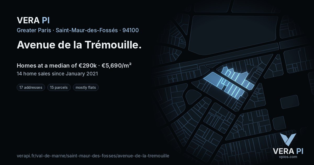Avenue de la Trémouille, Saint-Maur-des-Fossés at night – every parcel coloured by the prices around it, the street's own parcels lit