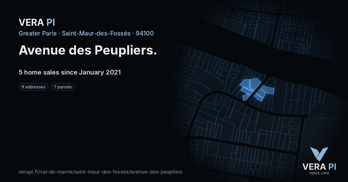 Avenue des Peupliers, Saint-Maur-des-Fossés at night – every parcel coloured by the prices around it, the street's own parcels lit
