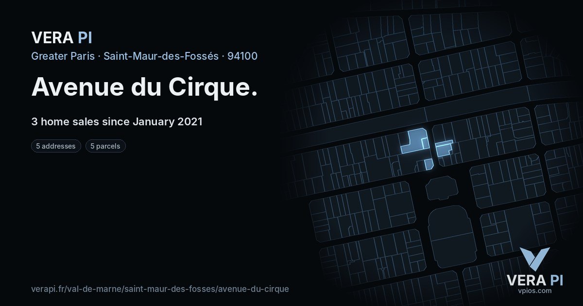 Avenue du Cirque, Saint-Maur-des-Fossés at night – every parcel coloured by the prices around it, the street's own parcels lit