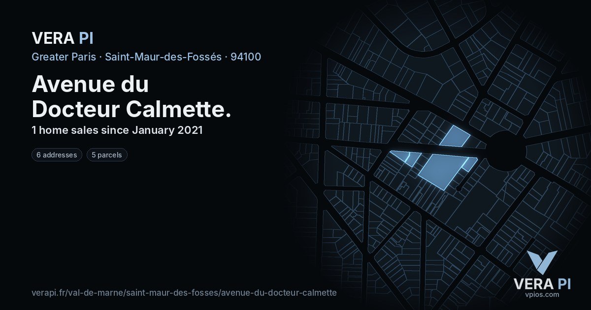 Avenue du Docteur Calmette, Saint-Maur-des-Fossés at night – every parcel coloured by the prices around it, the street's own parcels lit