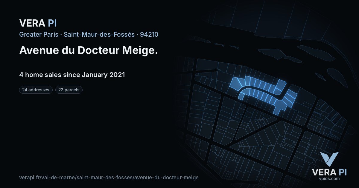 Avenue du Docteur Meige, Saint-Maur-des-Fossés at night – every parcel coloured by the prices around it, the street's own parcels lit