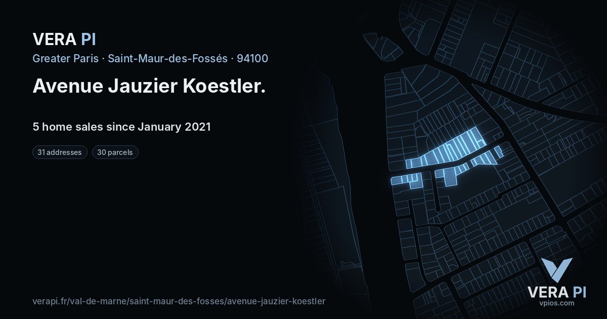 Avenue Jauzier Koestler, Saint-Maur-des-Fossés at night – every parcel coloured by the prices around it, the street's own parcels lit