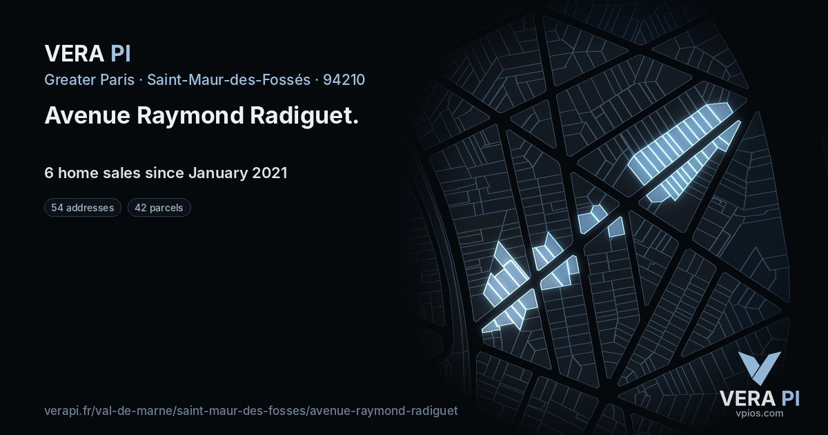 Avenue Raymond Radiguet, Saint-Maur-des-Fossés at night – every parcel coloured by the prices around it, the street's own parcels lit