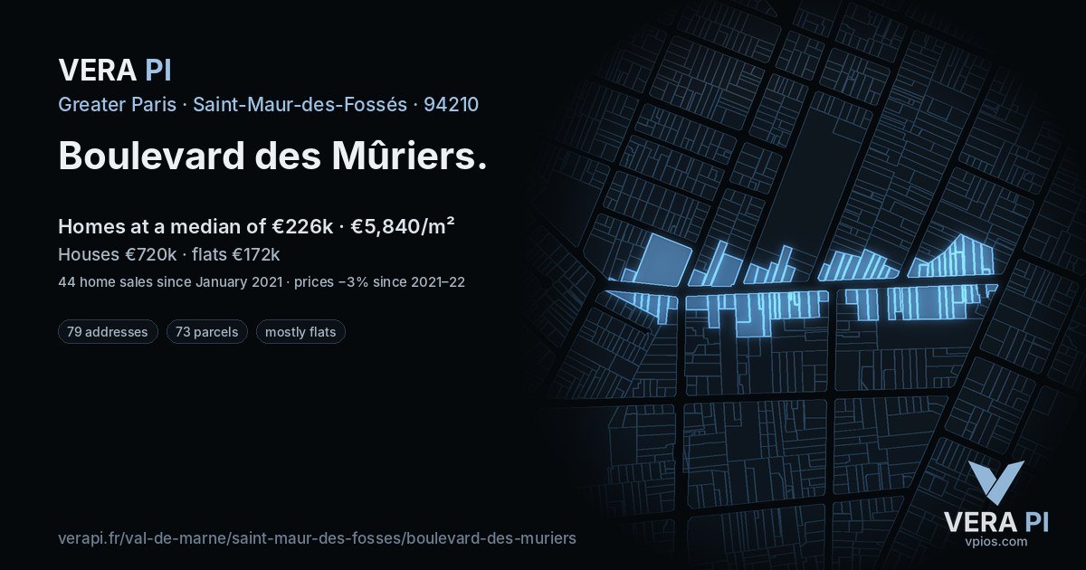 Boulevard des Mûriers, Saint-Maur-des-Fossés at night – every parcel coloured by the prices around it, the street's own parcels lit