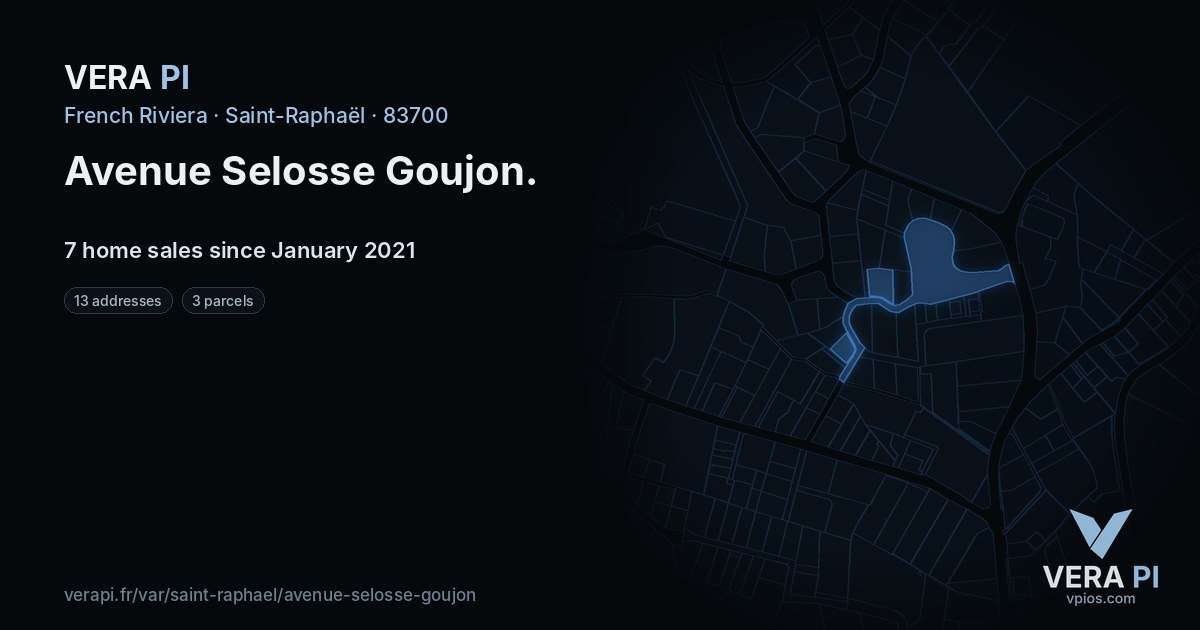 Avenue Selosse Goujon, Saint-Raphaël at night – every parcel coloured by the prices around it, the street's own parcels lit