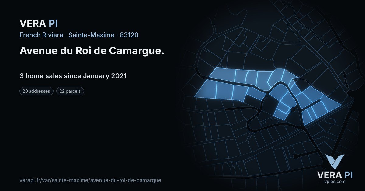 Avenue du Roi de Camargue, Sainte-Maxime at night – every parcel coloured by the prices around it, the street's own parcels lit