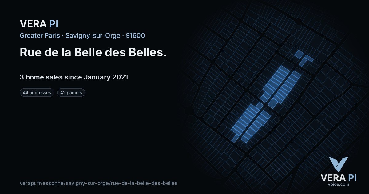 Rue de la Belle des Belles, Savigny-sur-Orge at night – every parcel coloured by the prices around it, the street's own parcels lit