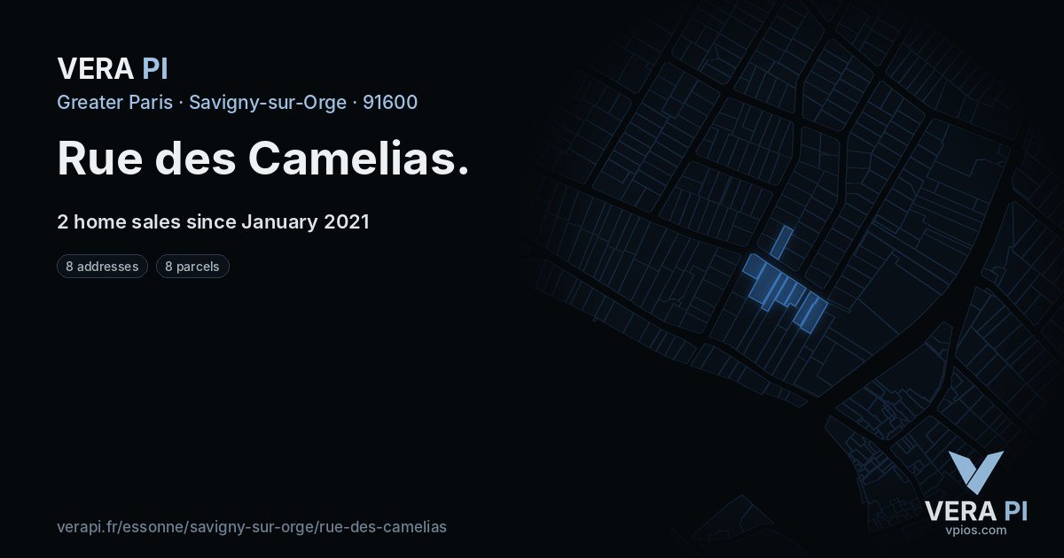 Rue des Camelias, Savigny-sur-Orge at night – every parcel coloured by the prices around it, the street's own parcels lit