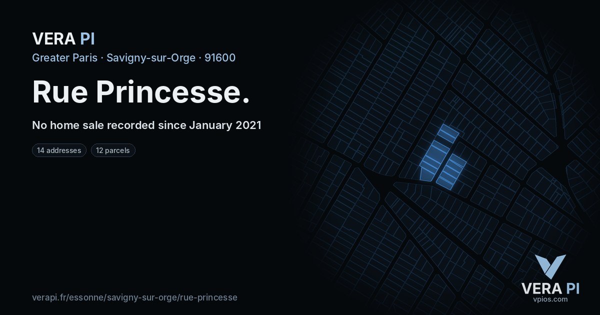 Rue Princesse, Savigny-sur-Orge at night – every parcel coloured by the prices around it, the street's own parcels lit
