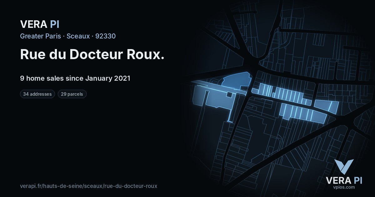 Rue du Docteur Roux, Sceaux at night – every parcel coloured by the prices around it, the street's own parcels lit