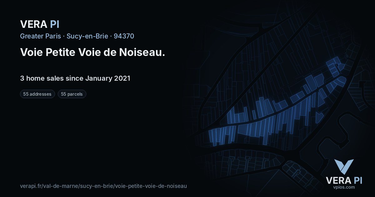 Voie Petite Voie de Noiseau, Sucy-en-Brie at night – every parcel coloured by the prices around it, the street's own parcels lit