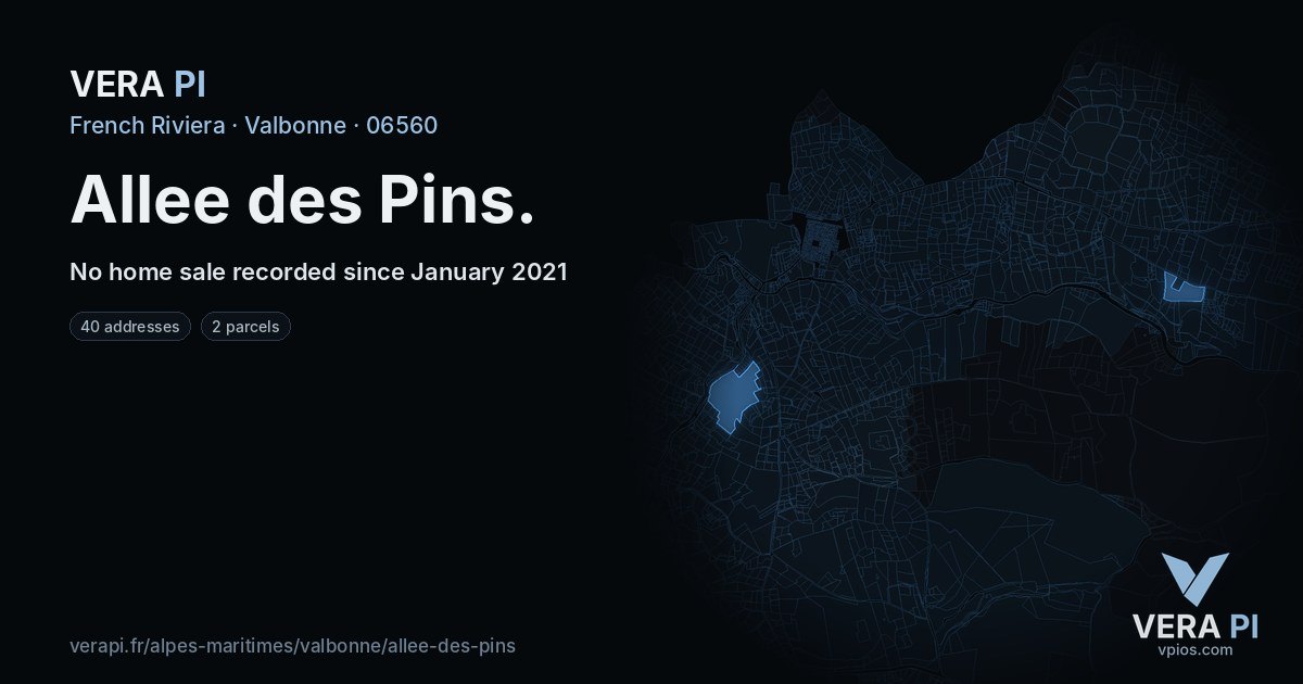 Allee des Pins, Valbonne at night – every parcel coloured by the prices around it, the street's own parcels lit