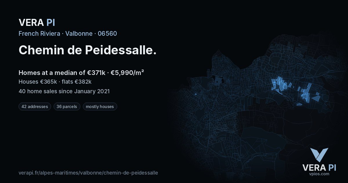 Chemin de Peidessalle, Valbonne at night – every parcel coloured by the prices around it, the street's own parcels lit