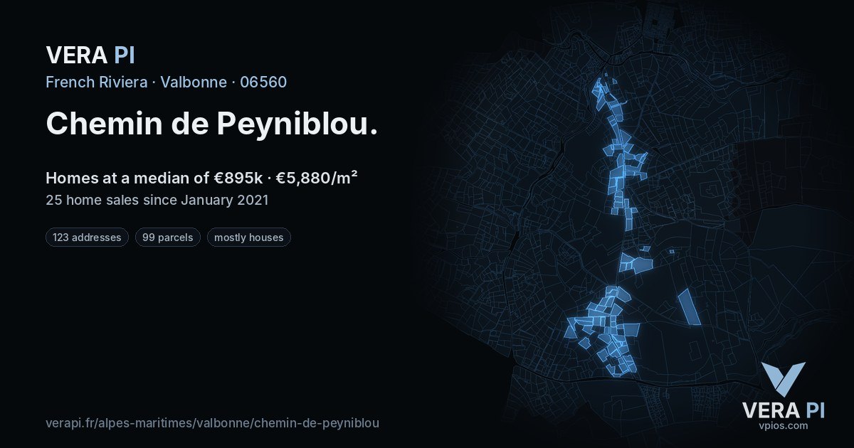 Chemin de Peyniblou, Valbonne at night – every parcel coloured by the prices around it, the street's own parcels lit