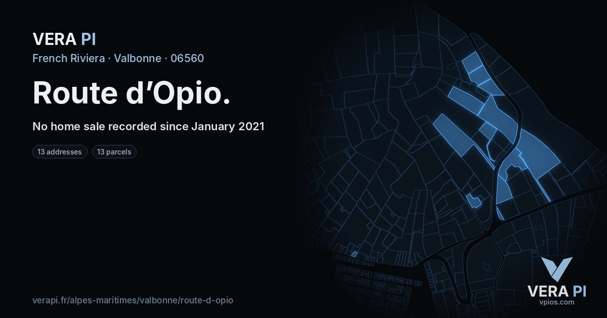 Route d’Opio, Valbonne at night – every parcel coloured by the prices around it, the street's own parcels lit