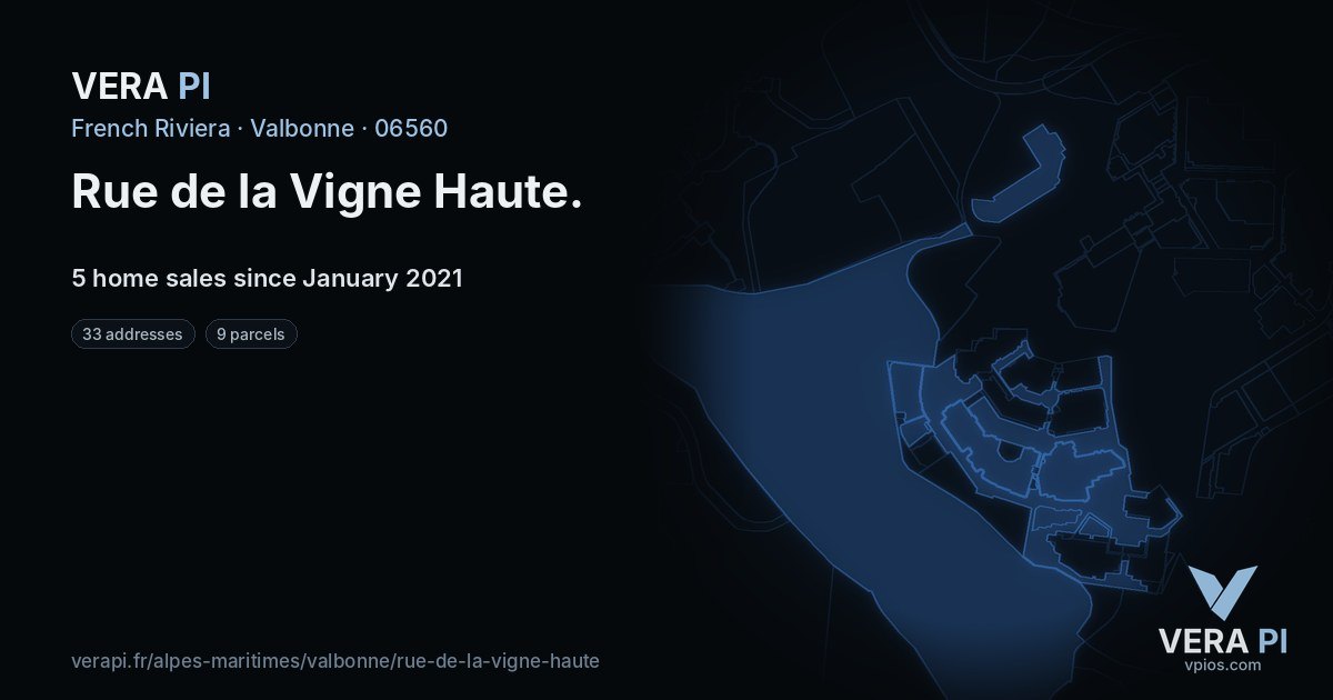 Rue de la Vigne Haute, Valbonne at night – every parcel coloured by the prices around it, the street's own parcels lit