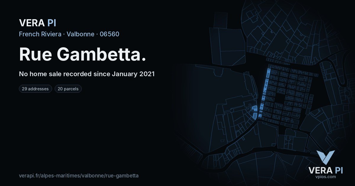 Rue Gambetta, Valbonne at night – every parcel coloured by the prices around it, the street's own parcels lit