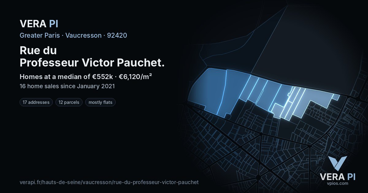 Rue du Professeur Victor Pauchet, Vaucresson at night – every parcel coloured by the prices around it, the street's own parcels lit