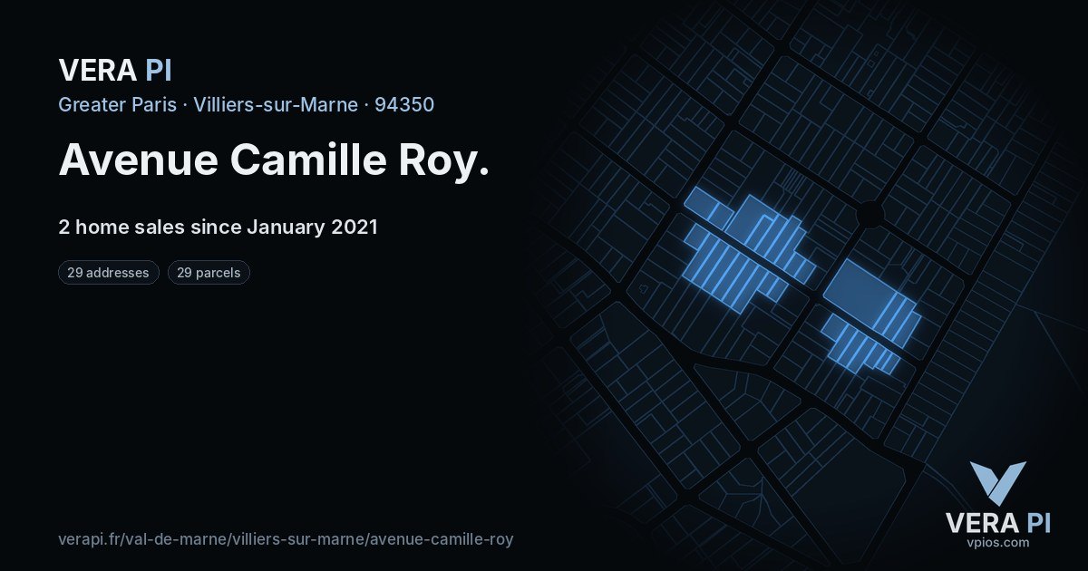 Avenue Camille Roy, Villiers-sur-Marne at night – every parcel coloured by the prices around it, the street's own parcels lit