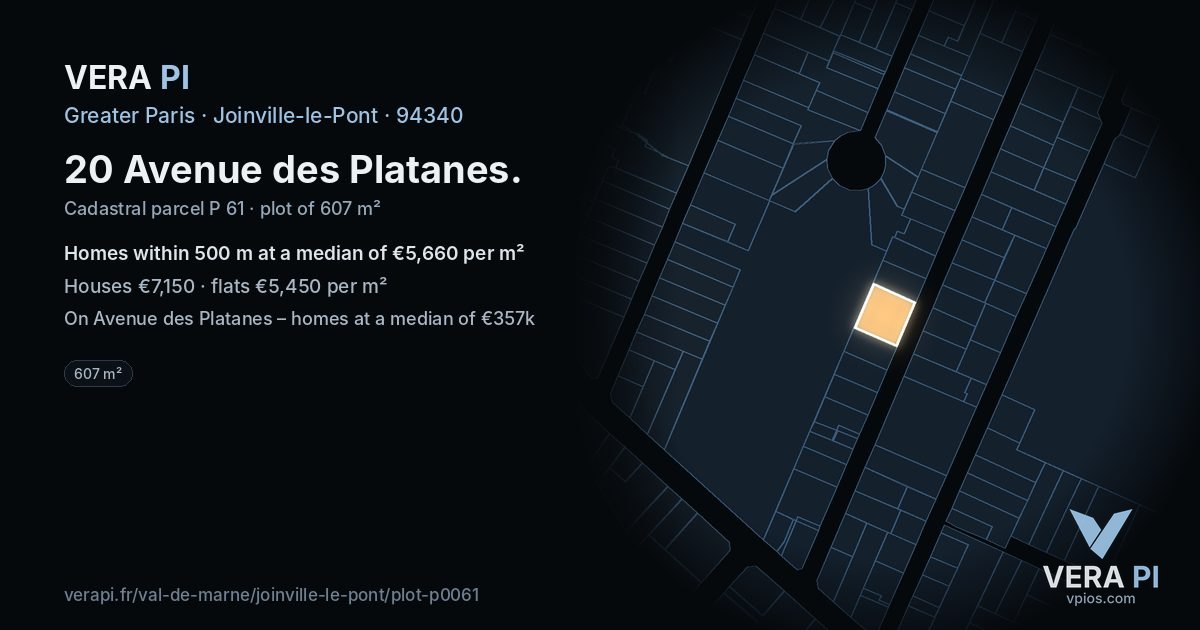 20 Avenue des Platanes, Joinville-le-Pont at night – the plot lit, the parcels around coloured by the prices near them